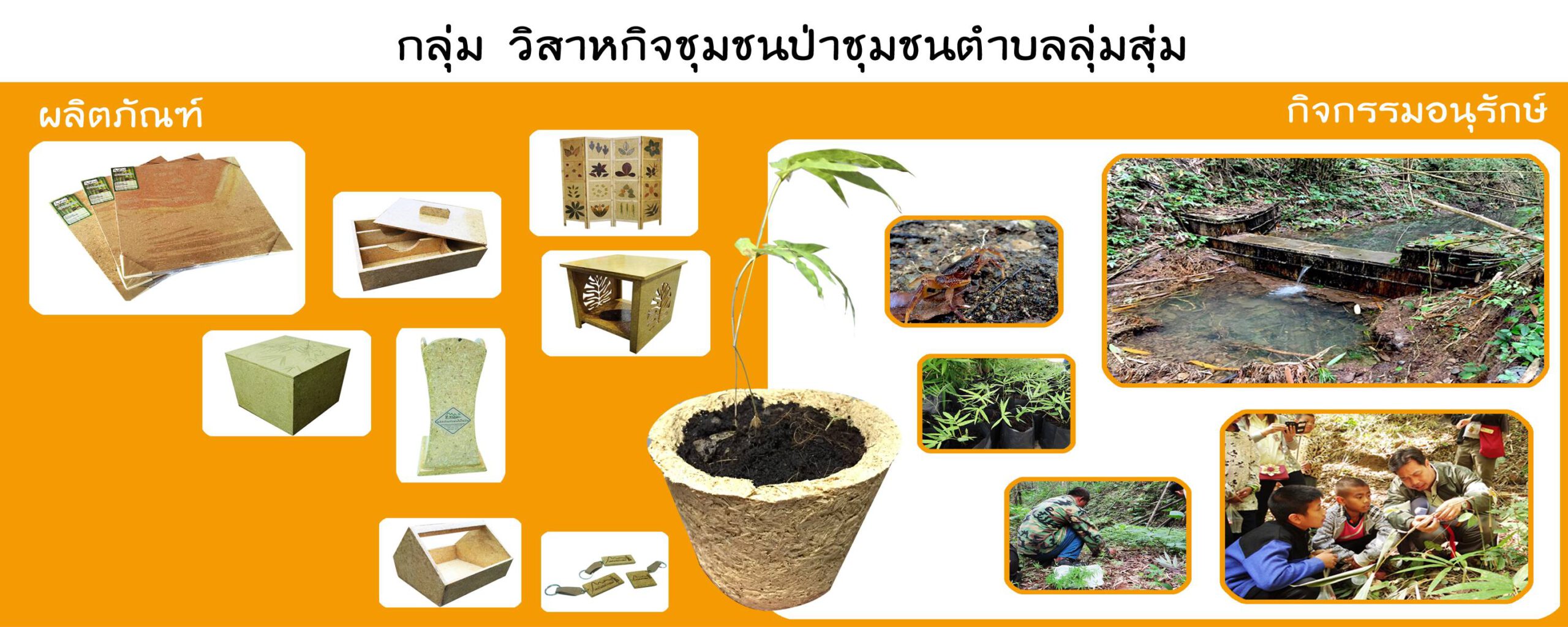 วิสาหกิจชุมชนป่าชุมชน
